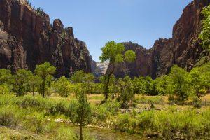USA 2025 - Zion National Park