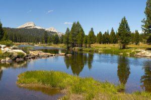 USA 2025 - Yosemite National Park