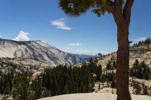 USA 2025 - Yosemite National Park