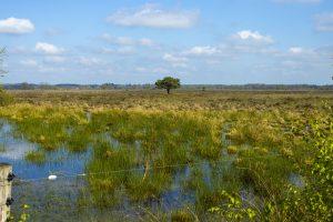 NP Dwingelderveld