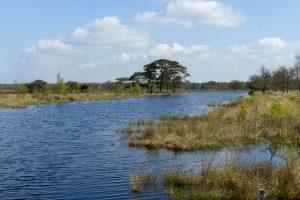 NP Dwingelderveld