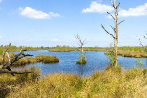 NP Dwingelderveld