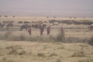 Safari en strandvakantie Tanzania