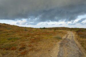 Texel