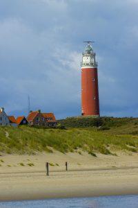 Texel