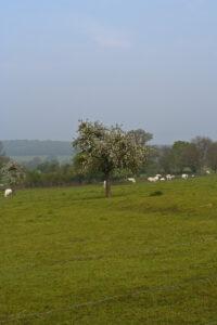 Weekje Ardennen