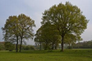 Weekje Ardennen