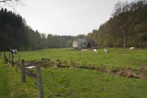 Weekje Ardennen