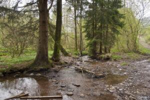 Weekje Ardennen