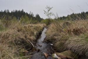 Weekje Ardennen