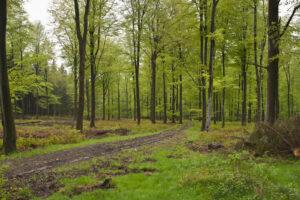 Weekje Ardennen