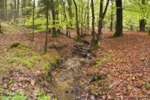 Weekje Ardennen