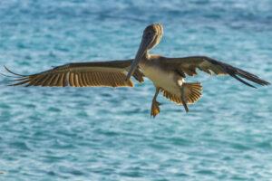 Vakantie Bonaire